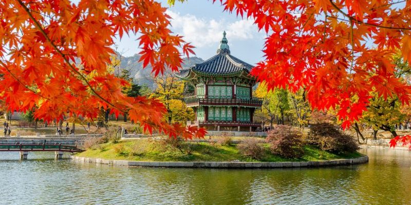 learning korean online
